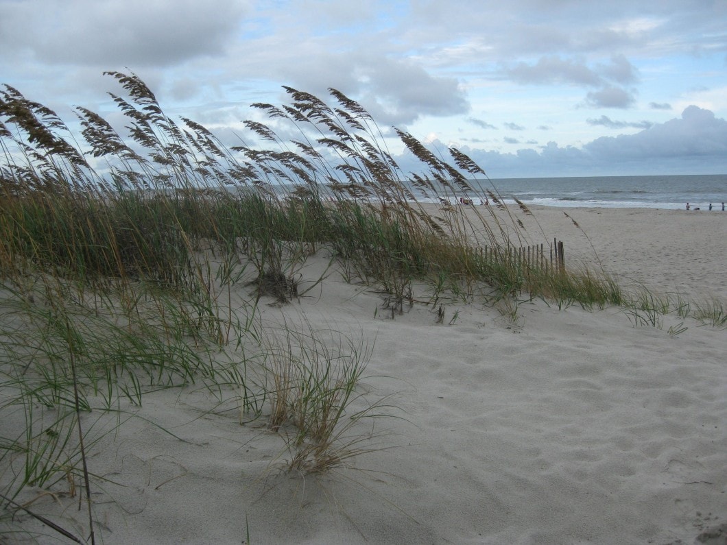 Waveland Beach