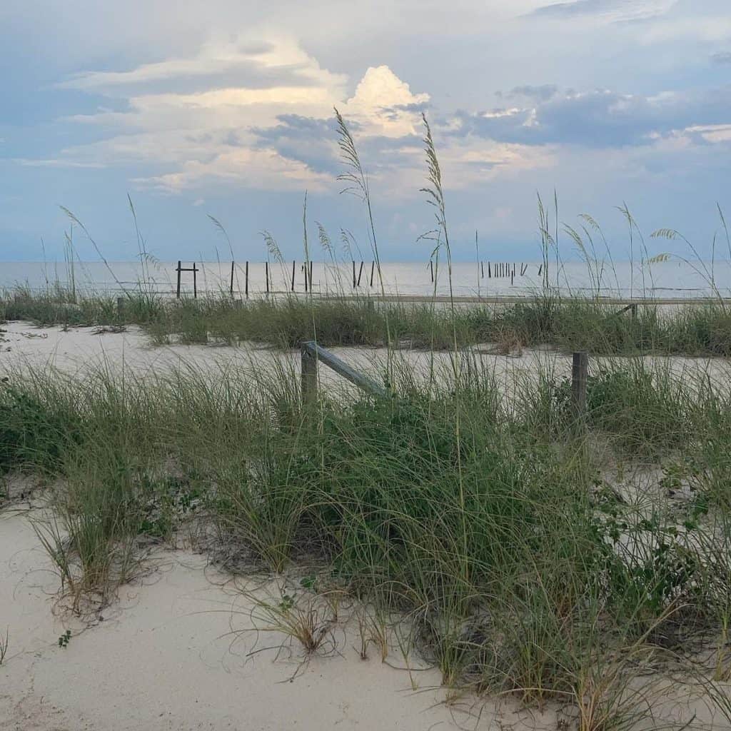 A gorgeous Mississippi beach that doesn't need white people's fake fear ruining it.