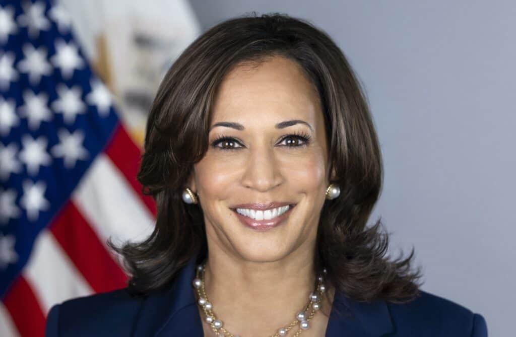 A headshot of VP Kamala Harris, in a navy suit and pearls, who has said she wants to be president for everyone. 