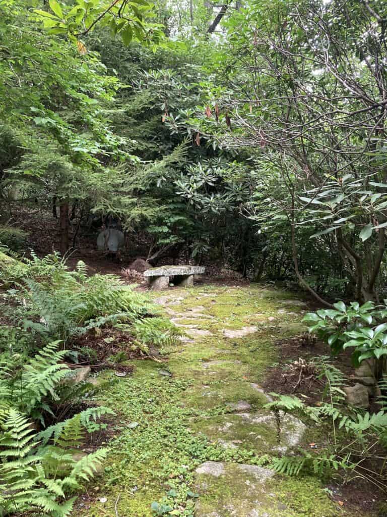 A quiet green-filled nook with ferns, moss, and a stone bench, evoking the Gaze of Compassion.