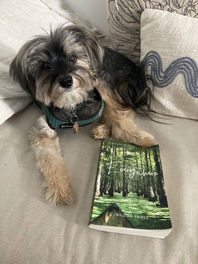 Evangeline the dog with her paw on The Gate of Heaven is Everywhere. On an oatmeal colored daybed, surrounded by pillows. 