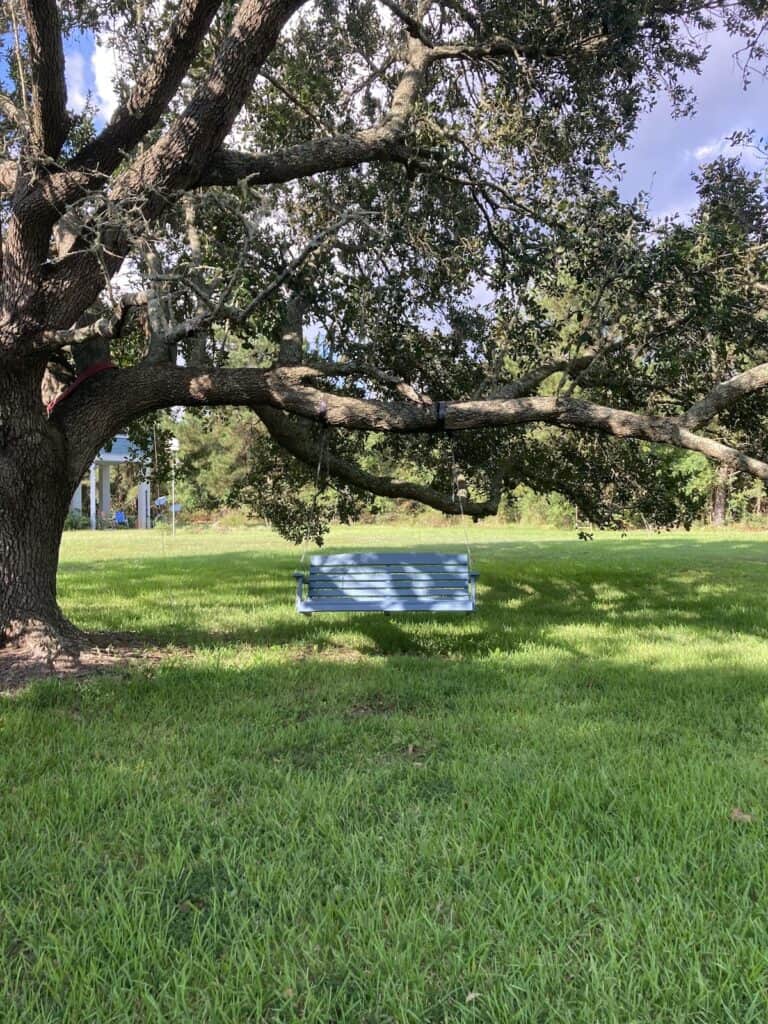 a blue swing on the limb of a live oak in a sea of green grass that is the perfect answer to a train-wreck way of thinking
